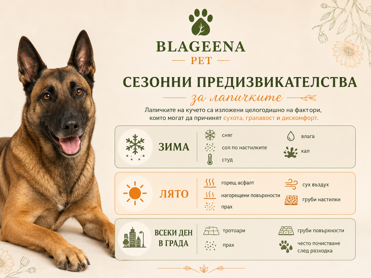 BLAGEENA® PET Балсам за лапи и нос